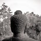 Buddha Head - Borobudur - Java